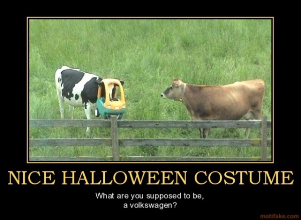 nice-halloween-costume-cow-head-stuck-do